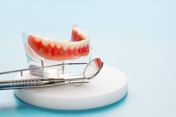 Best Preventive Dentistry  in Citrus City, TX